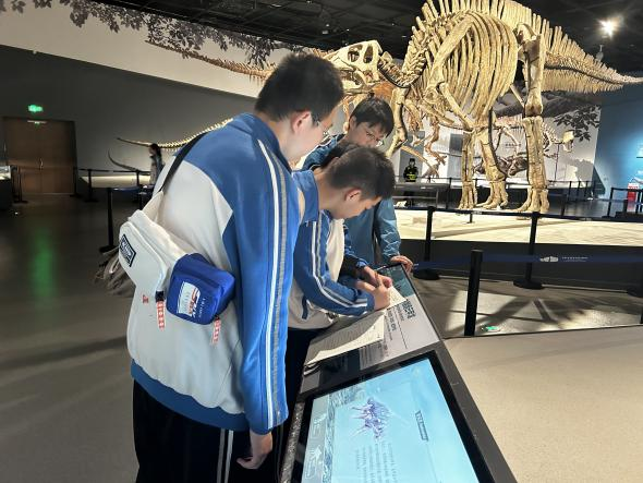 图片 3.png 图片 3.png