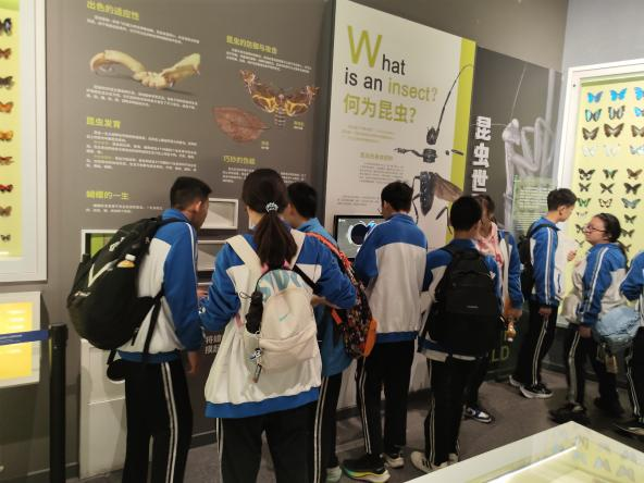 图片 4.png 图片 4.png