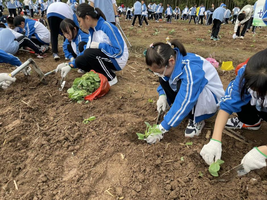 图片 3.png 图片 3.png