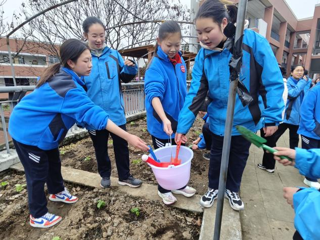 图片 1.png 图片 1.png