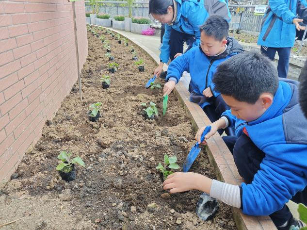 图片 2.png 图片 2.png