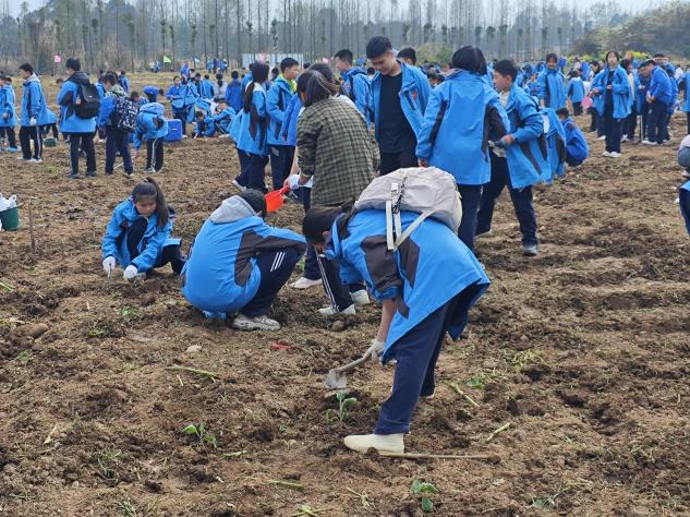 图片 5.png 图片 5.png