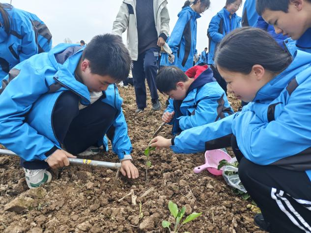 图片 6.png 图片 6.png