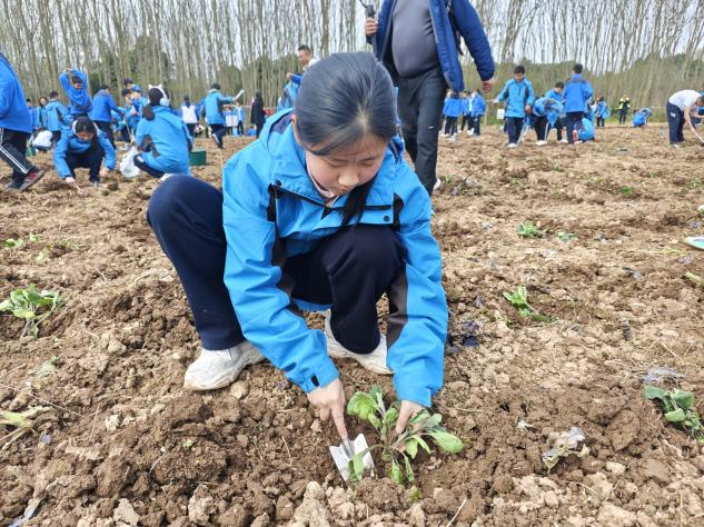 图片 10.png 图片 10.png