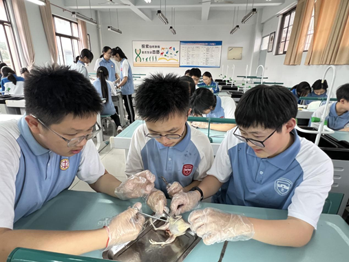 图片5.png 图片5.png