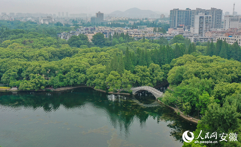 水清岸绿的马鞍山雨山湖。人民网记者 李希蒙摄
