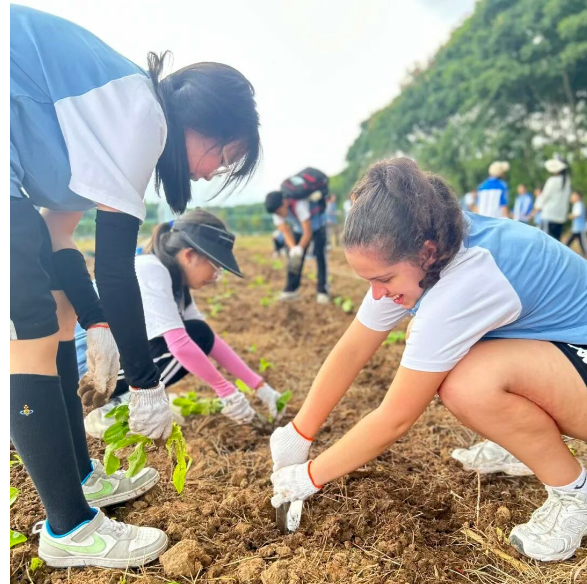 4b4714ea-7740-49bf-bfc2-965c0ebfe563.png